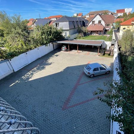 Apartment In The Villa Northern Dreams #3 Parking Included In Price Timişoara Eksteriør bilde